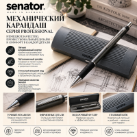 ������������ �������� Professional 